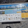 El Medano, Tenerife - immagine 6
