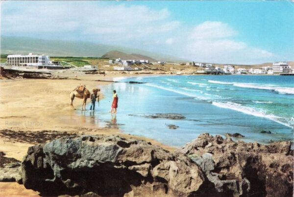 # ! Trpst#trp-gettext data-trpgettextoriginal=9628# ! Trpen#el medano, tenerife - image 5# ! Trpst#/trp-gettext# ! Trpen#