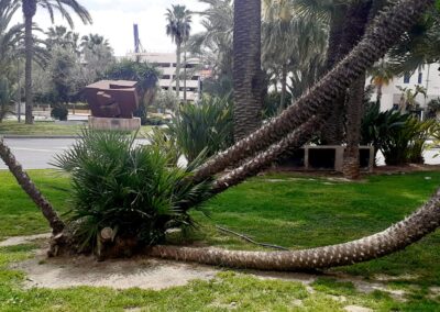 Visite à pied d'Alicante autoguidée