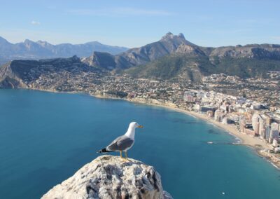New alicante escape room experience