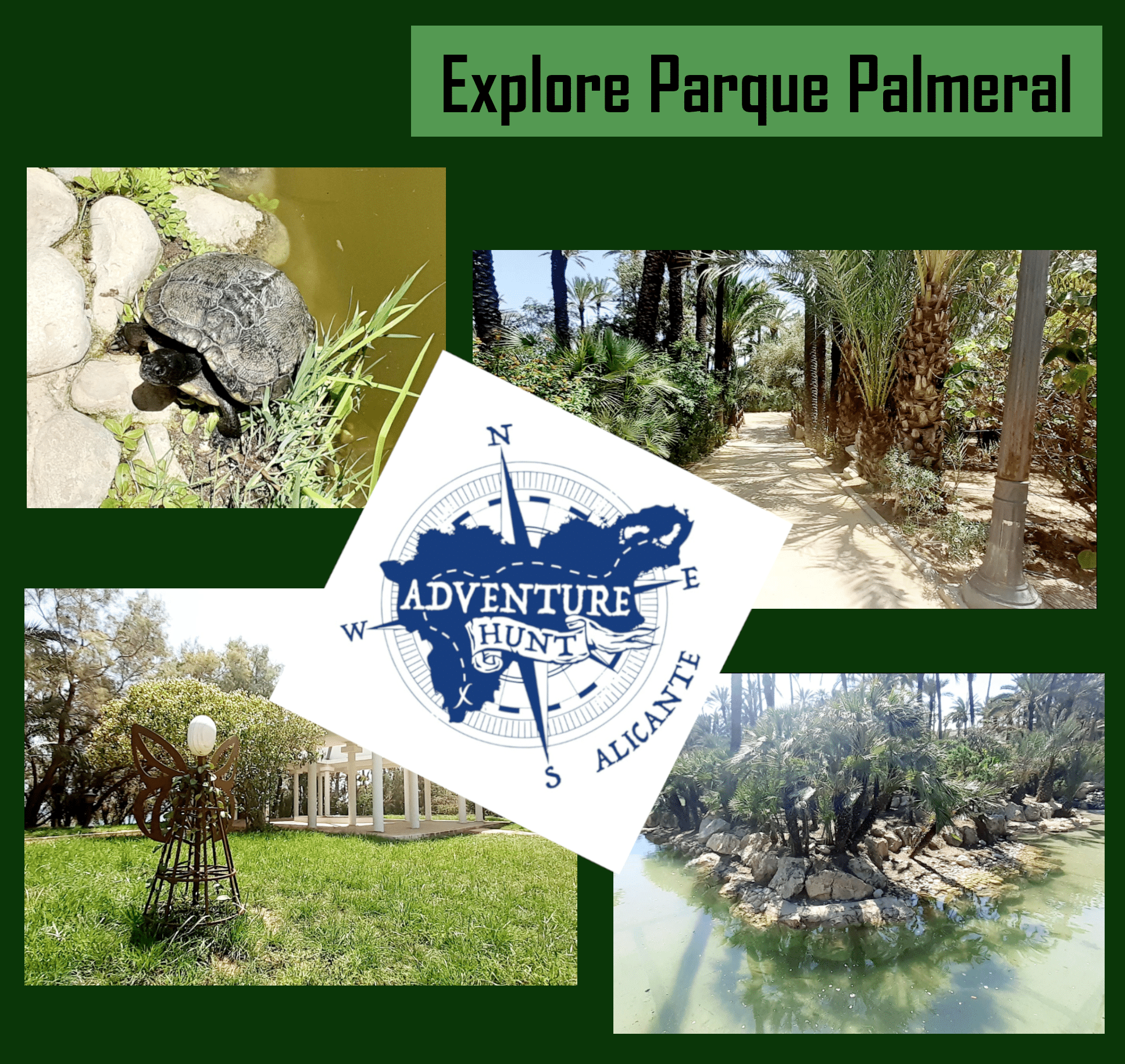 ¡#! ¡Trpst#trp-gettext data-trpgettextoriginal=9531#! ¡Trpen#alicante - imagen 3#! ¡Trpst#/trp-gettext#! Trpen#