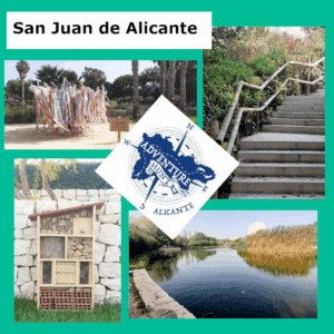 San juan de alicante