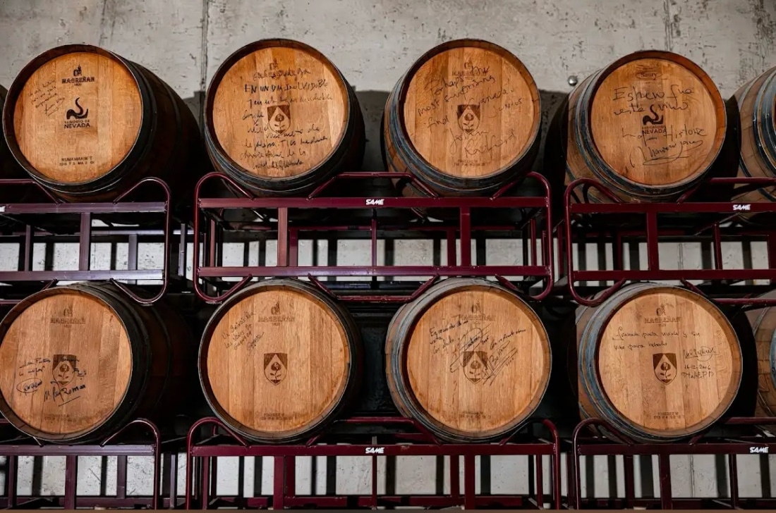 Wine tasting in the granada countryside