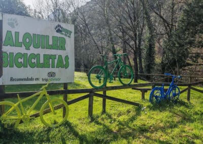 Activité de groupe Senda del oso