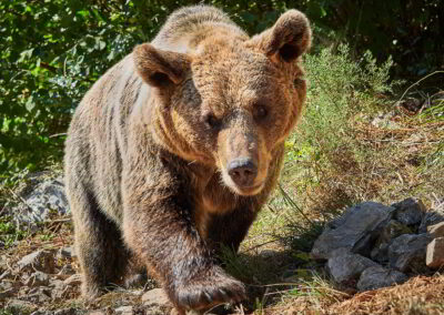 Chasse au trésor de Villanueva