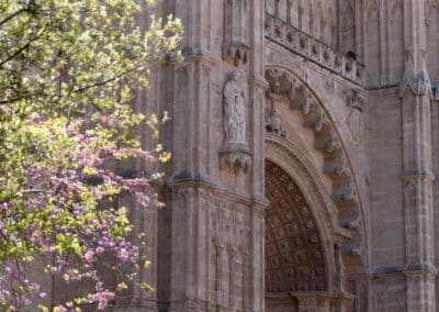 Actividades de team building y fiestas de cumpleaños en Palma